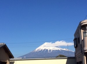 fuji